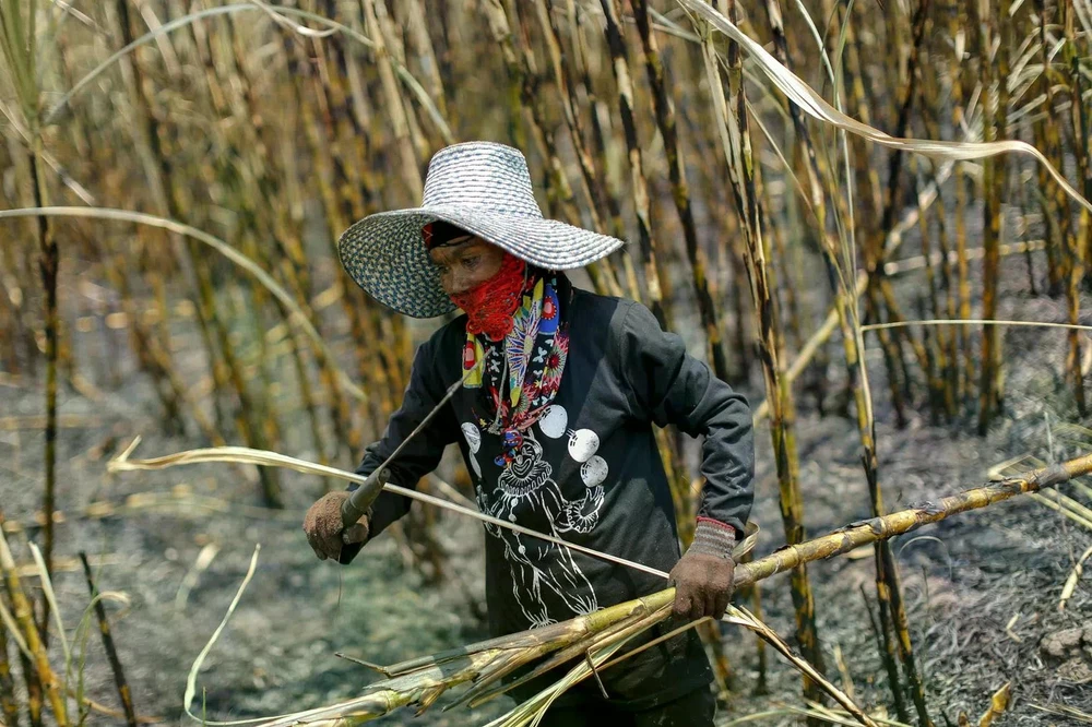 Thailand Rugi Rp468 Miliar Akibat Larangan Impor Sirup dari China