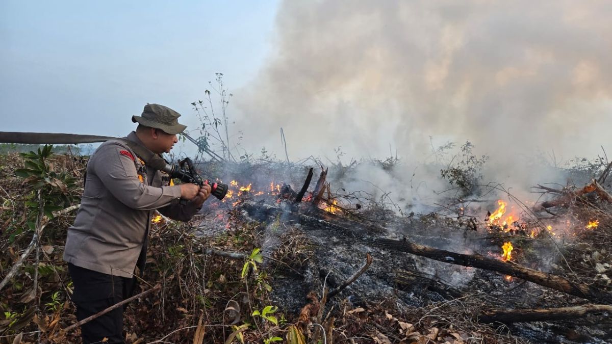Kebakaran Hutan di Riau Meluas, Tim Pemadam Gunakan Alat Berat dan Helikopter